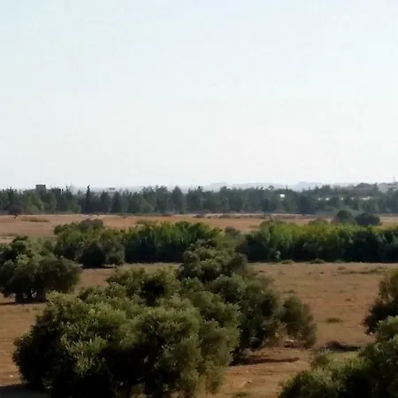 Larnaca Bay Views